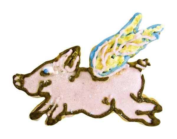 Städter Ausstechform Fliegendes Schwein 7 cm Städter Ausstechform Fliegendes Schwein 7 Cm -KitchenAid shop 201 070141 A03