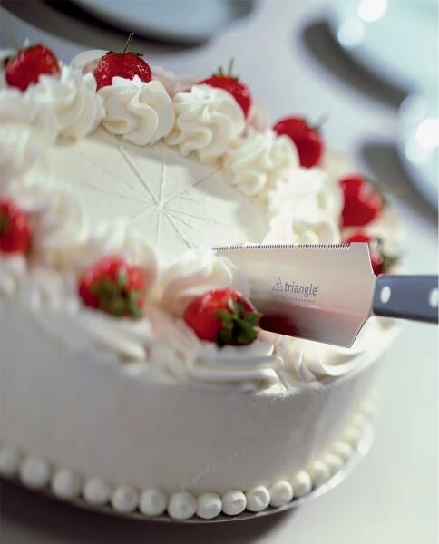 Triangle Tortenmesser Classic Gezahnt, 18 Cm 4 Triangle Tortenmesser Classic Gezahnt, 18 Cm – Bild 2