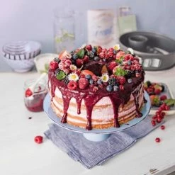 Kaiser Springform La Forme Plus Mit Rohrboden 26 Cm -KitchenAid shop 23 0063 8003 601