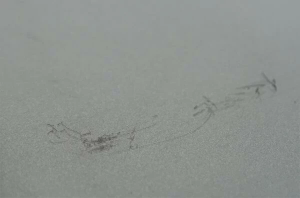 Wesco Brotkasten Grandy In Neusilber (B-Ware - Guter Zustand) 4 Wesco Brotkasten Grandy In Neusilber (B-Ware - Guter Zustand) – Bild 2