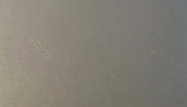 Wesco Brotkasten Grandy In Neusilber (B-Ware - Guter Zustand) 5 Wesco Brotkasten Grandy In Neusilber (B-Ware - Guter Zustand) – Bild 3