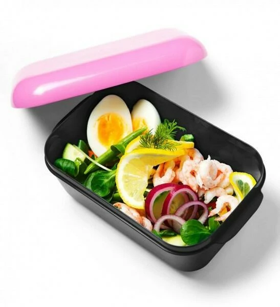 Frozzypack Lunchbox No. 2 in blau Frozzypack Lunchbox No. 2 In Blau -KitchenAid shop IMG 1307 Svart 1 l 1