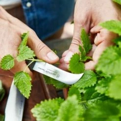 Wüsthof Brotmesser Urban Farmer -KitchenAid shop Wuesthof Urban Farmer 01